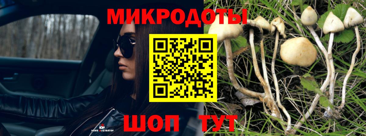 Тайшет  Псилоцибиновые грибы Psilocybine cubensis  Вход с VPN  Галлюциногенные грибы Cubensis 